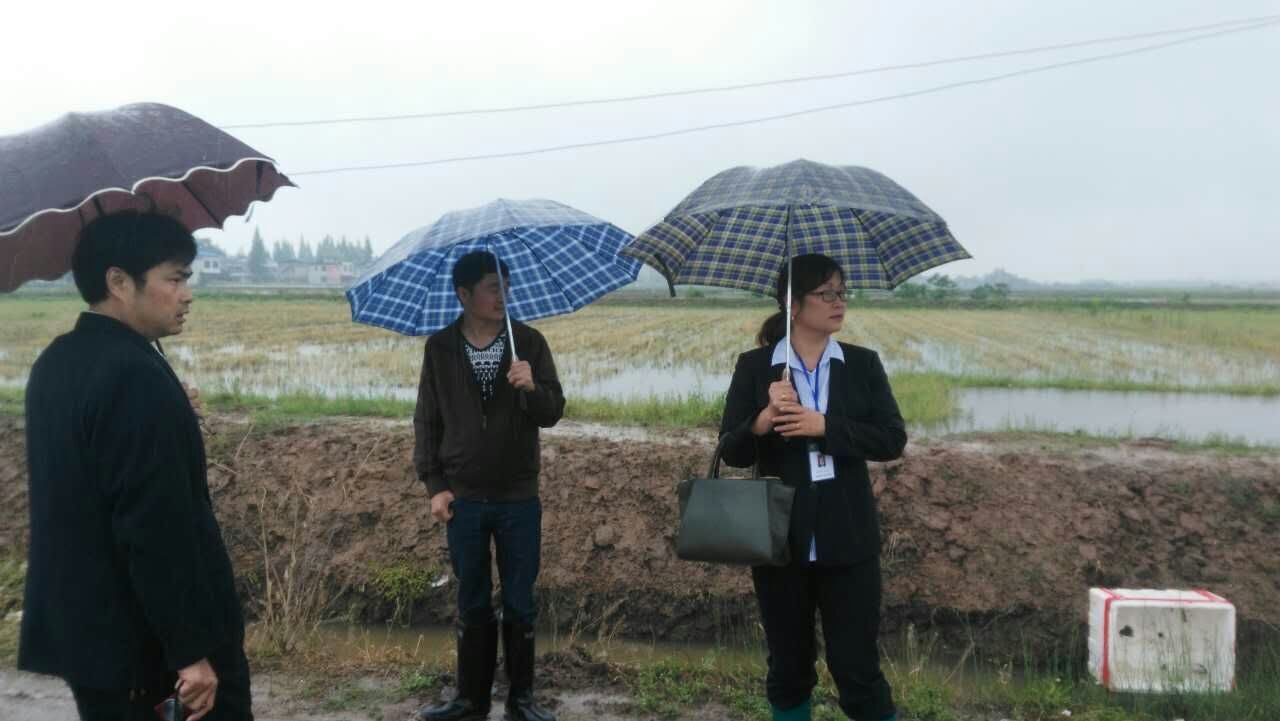 [titlepic]�ʴ���������֧�гɹ�����ȫʡ�ױʵ�Ϻ������ũ����