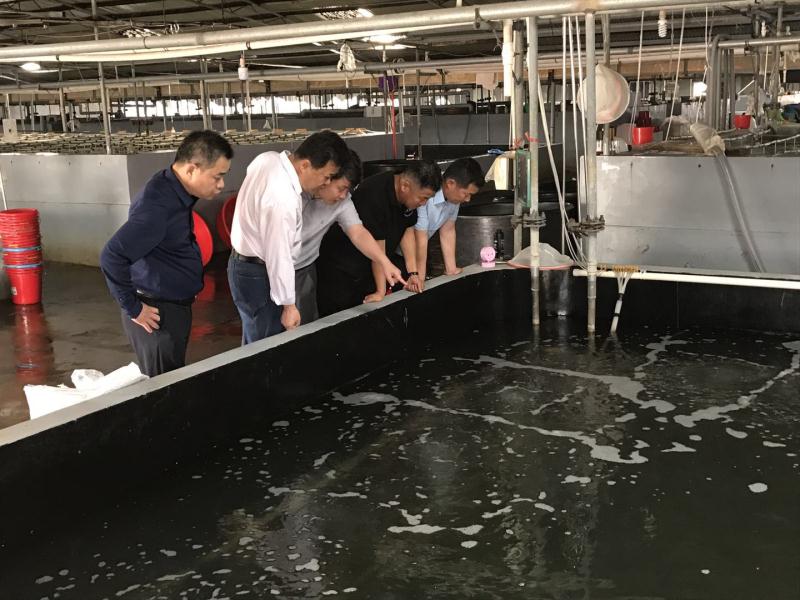 [titlepic]�ʴ����в����з��д��²�Ʒ����С΢