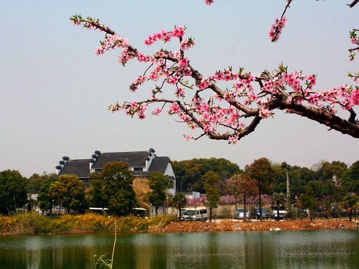 [titlepic]�һ�����Ц����