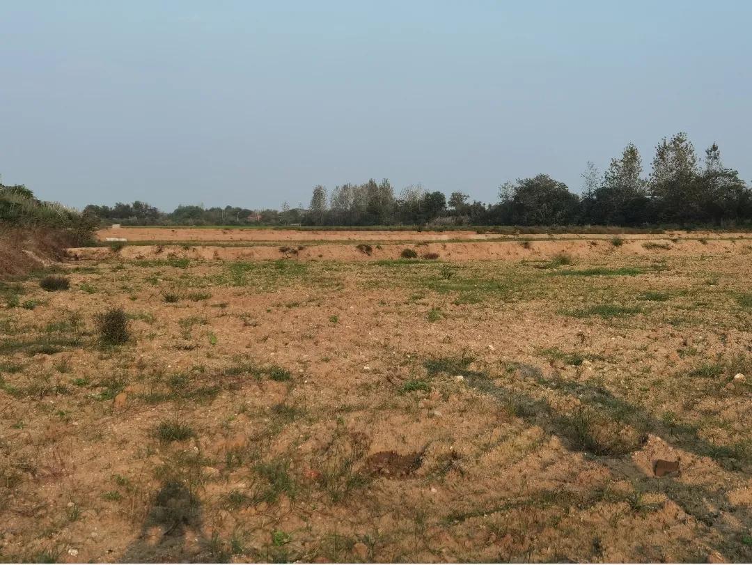 [titlepic]�ˮ��ũ���гɹ�Ͷ��2.2��Ԫ����ռ��ƽ���ۺ�������Ŀ����